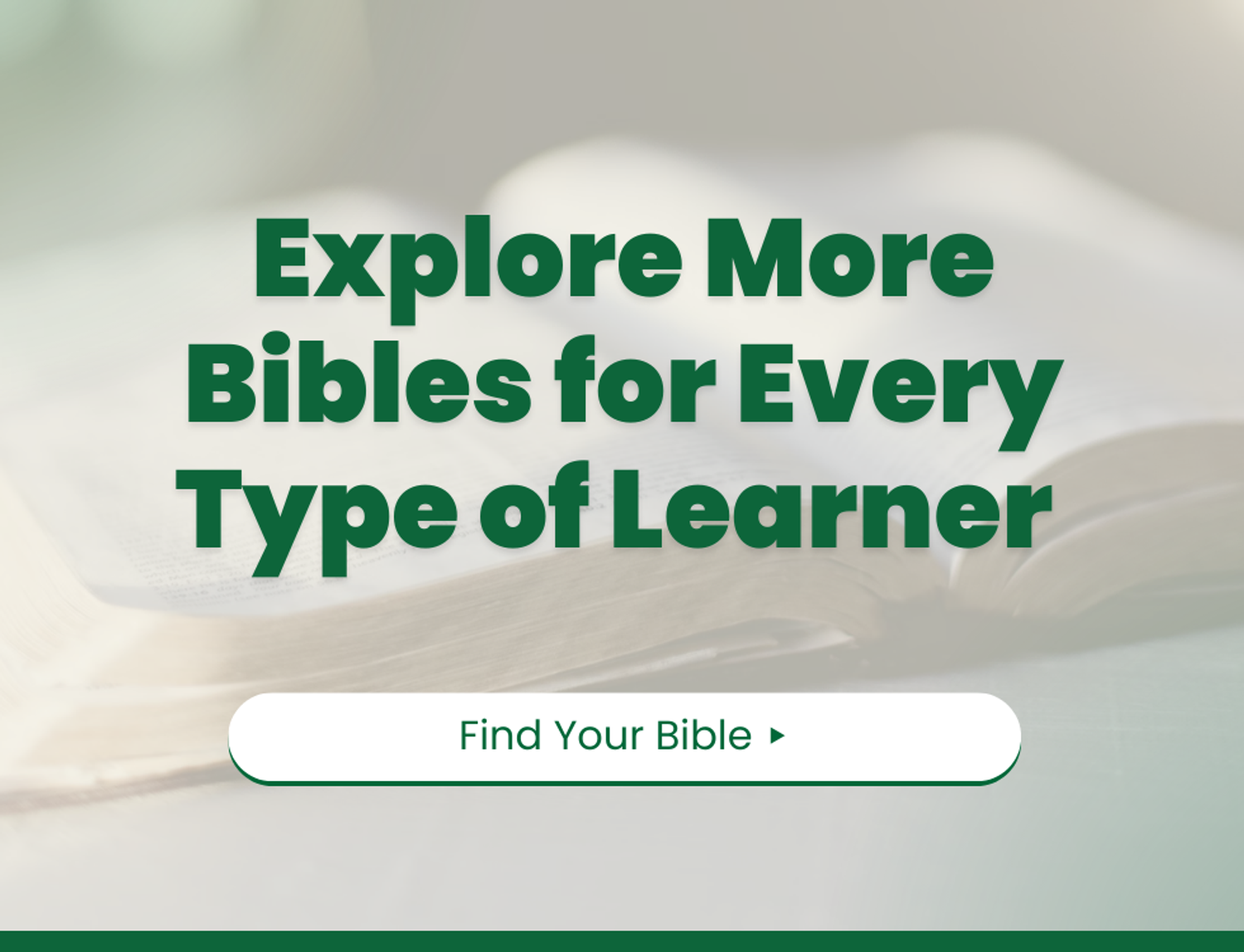 Shop Bibles for All Believers