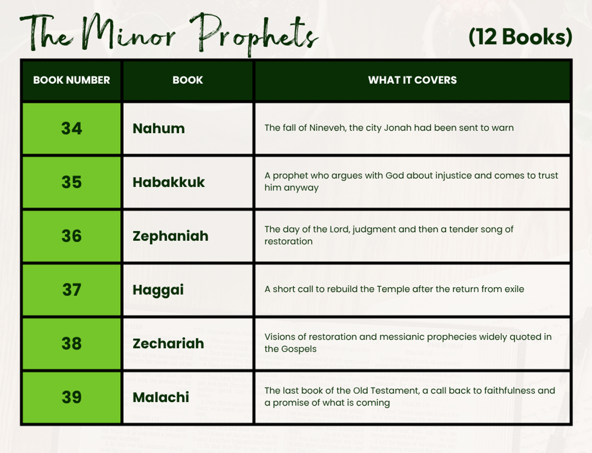 Table showing the twelve Minor Prophet books in order: 28 Hosea, 29 Joel, 30 Amos, 31 Obadiah, 32 Jonah, 33 Micah, 34 Nahum, 35 Habakkuk, 36 Zephaniah, 37 Haggai, 38 Zechariah, 39 Malachi — with a one-line summary of each book.