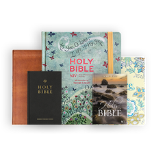 Bibles