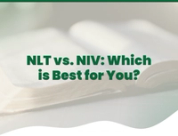 NLT vs. NIV: Which is Best for You?