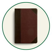ESV Thinline Bibles