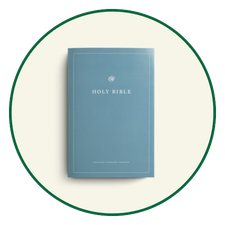 ESV Outreach Bibles