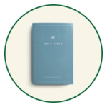 ESV Outreach Bibles