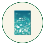 NIV Large Print Bibles