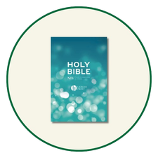 NIV Large Print Bibles