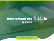 How to Read the Bible in a Year (A Simple 15-Minute Daily Plan)