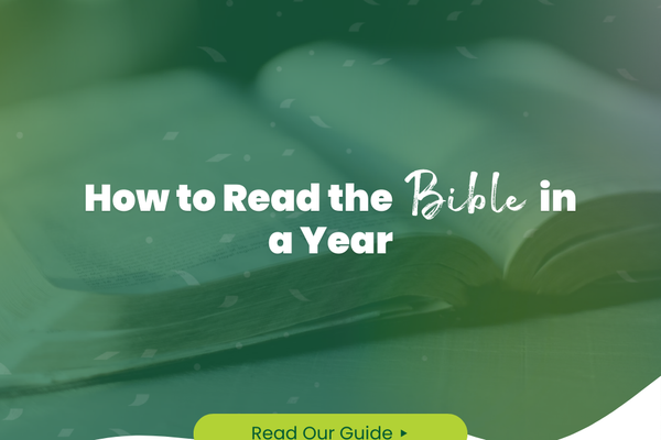 How to Read the Bible in a Year (A Simple 15-Minute Daily Plan)