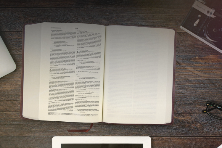 Interleaved Bibles