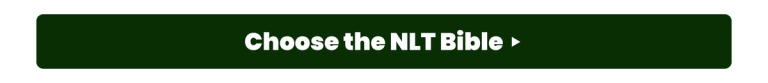 Choose the NLT Bible