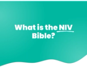 What is the New International Version (NIV) Bible?