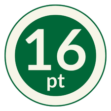 16 Point Bibles