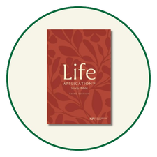 Life Application NIV Bibles