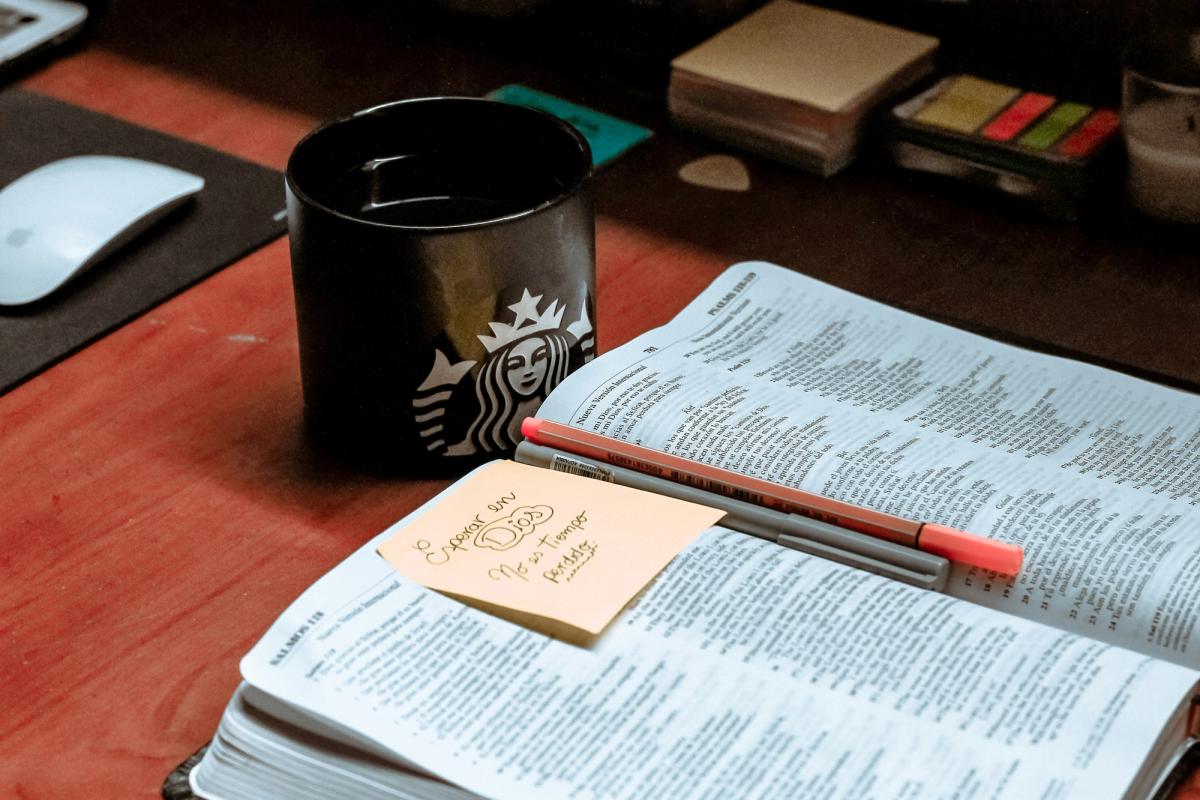 Studying the Bible