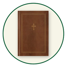 NLT Catholic Bibles