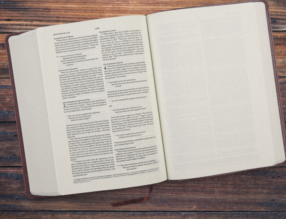 ESV Journaling Bible, Interleaved Edition