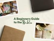 A Beginner’s Guide to the Bible: Where to Start When You Have "Zero Background"