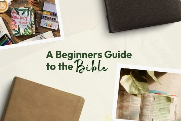 A Beginner’s Guide to the Bible: Where to Start When You Have "Zero Background"