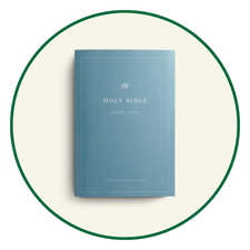 ESV Large Print Bibles 