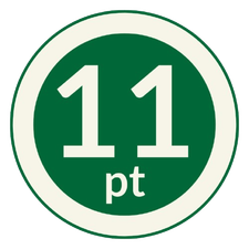 11 Point Bibles