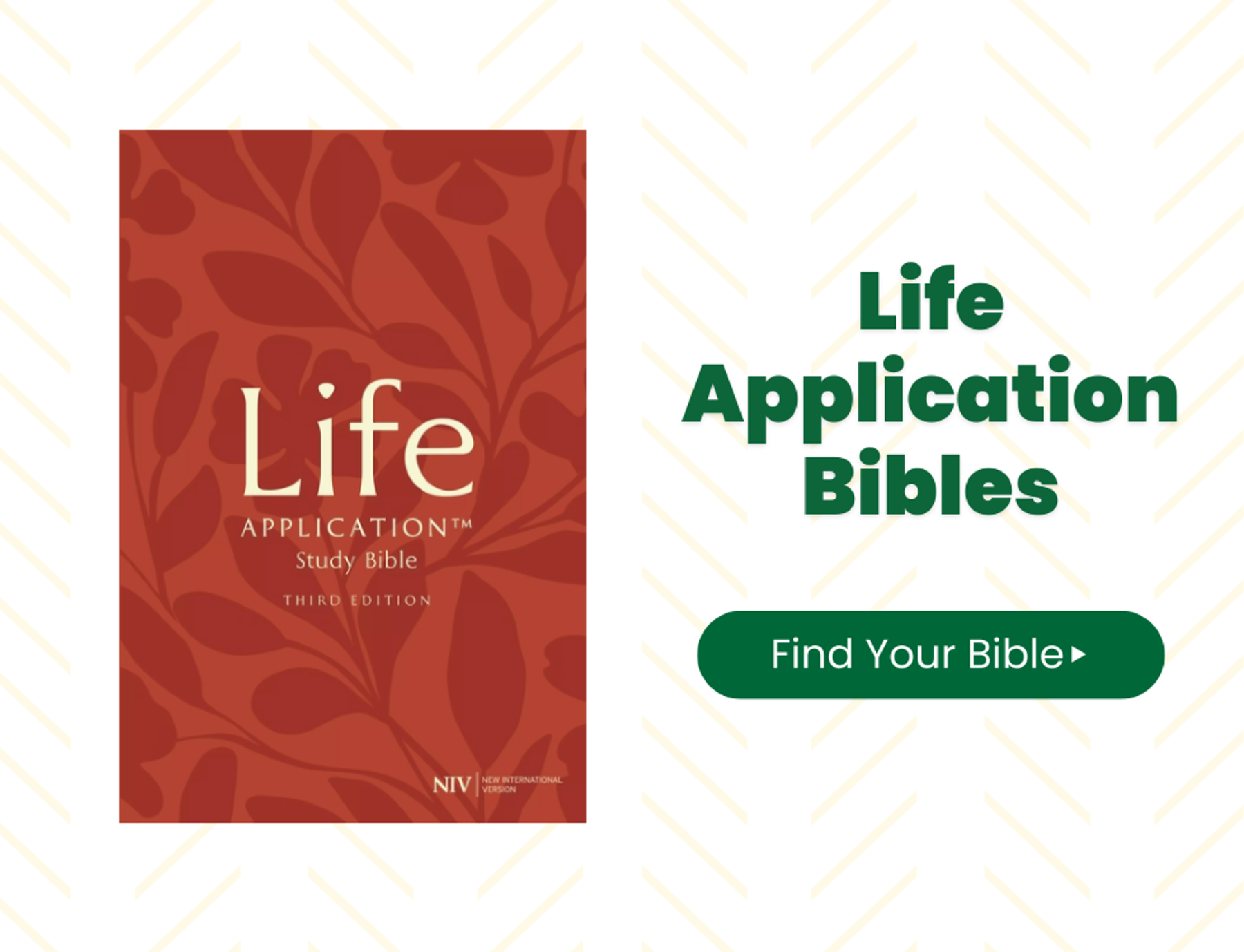 🔗 Shop Life Application Bibles Here