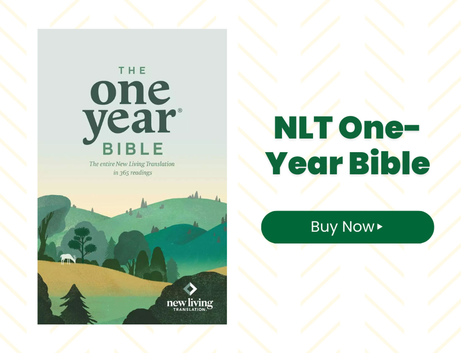 NLT One Year Bible at Eden