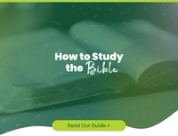 How to Study the Bible: The 5 Best Methods for Beginners (2026)