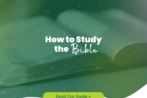 How to Study the Bible: The 5 Best Methods for Beginners (2026)