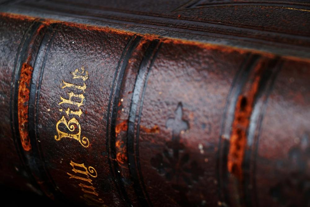 The Ultimate Guide to Premium Bibles