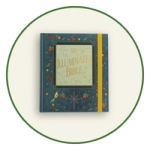 More Journaling Bibles