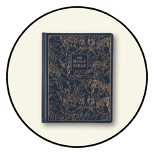 Christian Art Gift Bibles