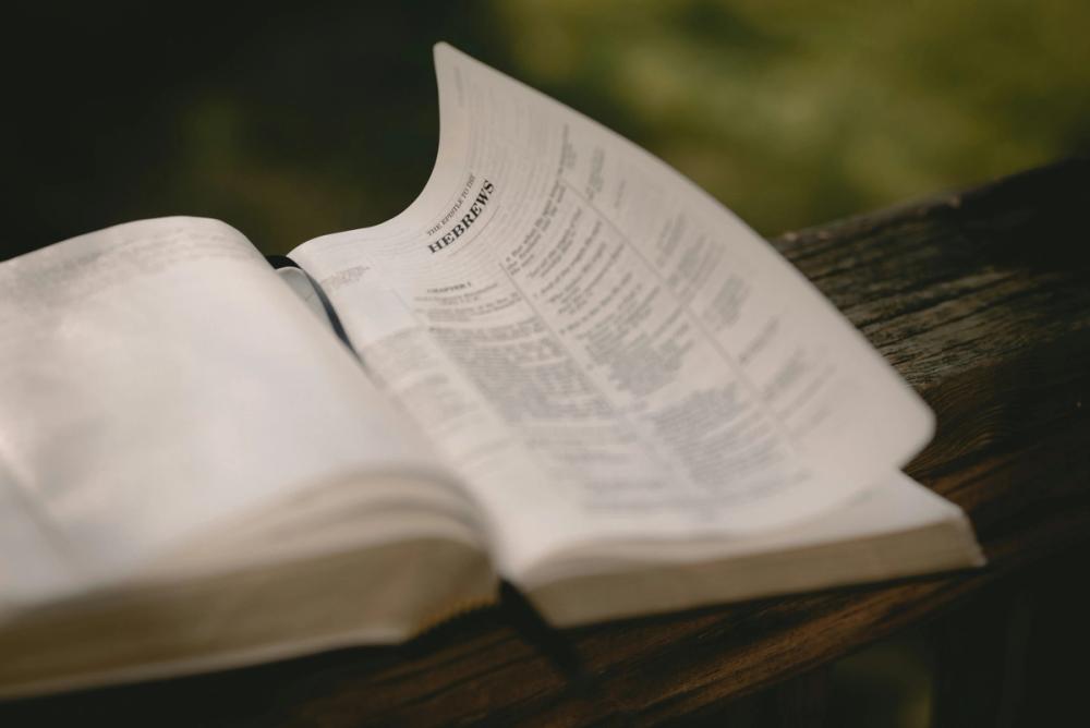 An open Bible in a natural setting