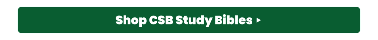 Shop CSB Study Bibles