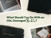 What Should You Do With an Old, Damaged Bible? (Repair, Donate, or Retire)