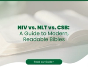 NIV vs. NLT vs. CSB: A Guide to Modern, Readable Bibles