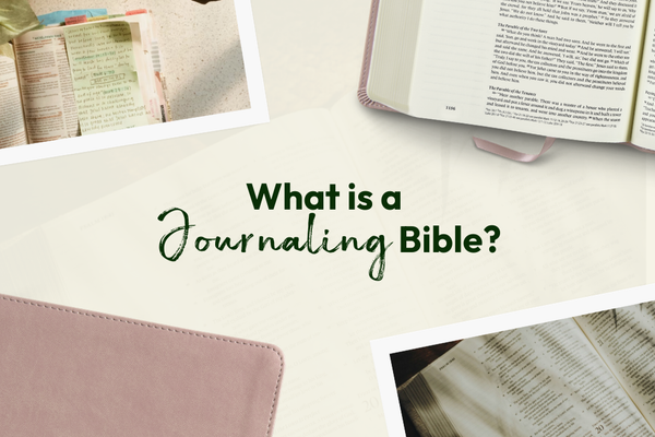 Journalling Bibles: A Complete Guide to Choosing One | Eden