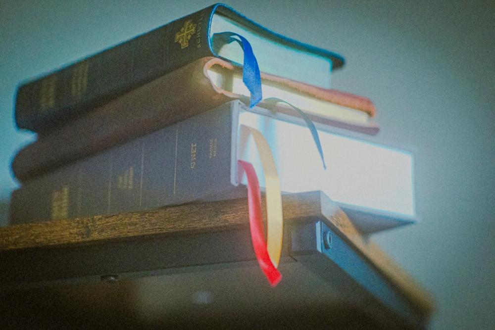NASB Bibles