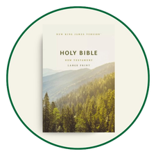 NLT New Testaments