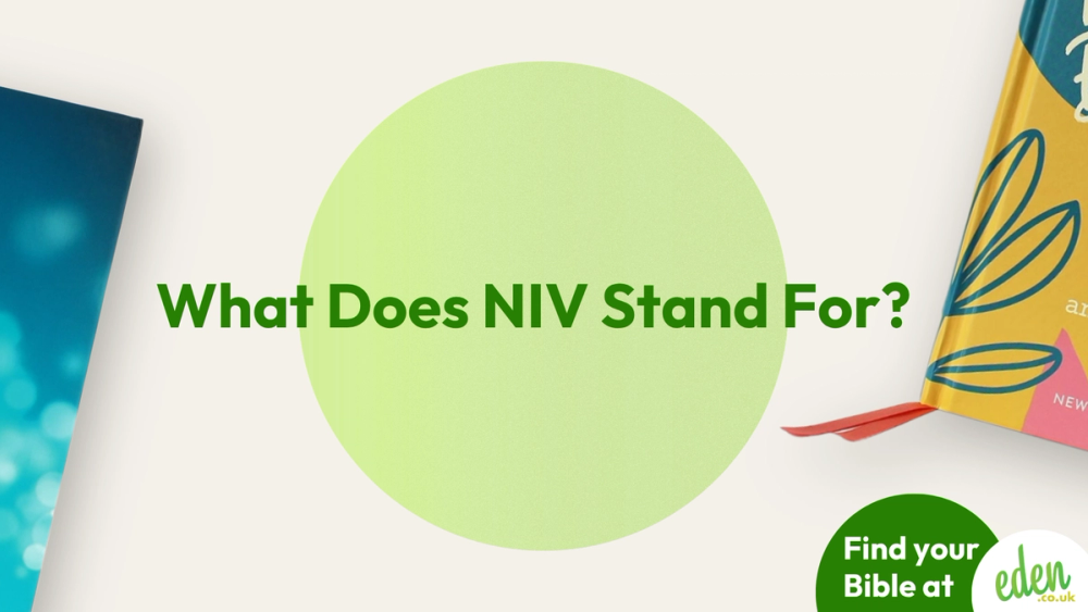 What Does NIV Stand For?