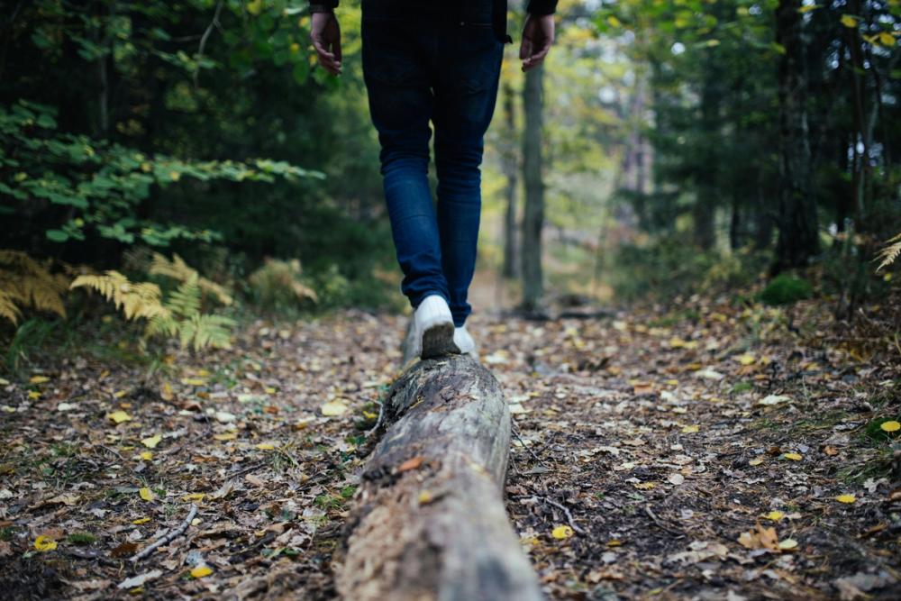 Someone walking a balanced line in a forest, representing the line walked by the CSB though the Optimal Equivalence translation process 