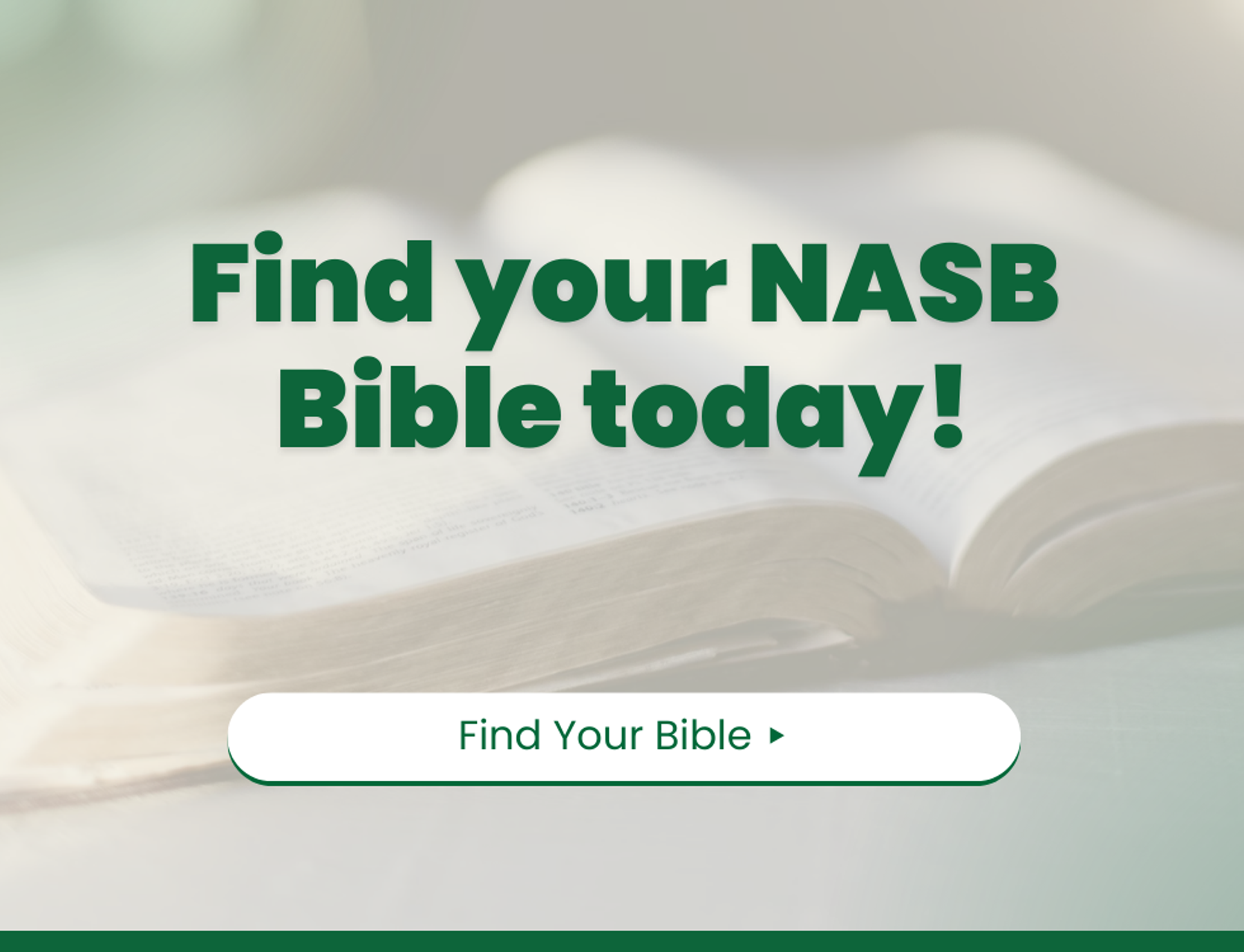 Find Your NASB Bible Today