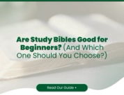 Are Study Bibles Good for Beginners? (And Which One Should You Choose?)