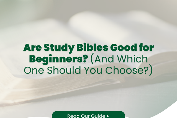 Are Study Bibles Good for Beginners? (And Which One Should You Choose?)
