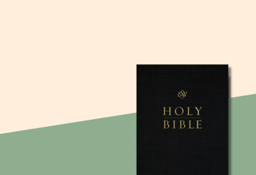 ESV Pew Bibles