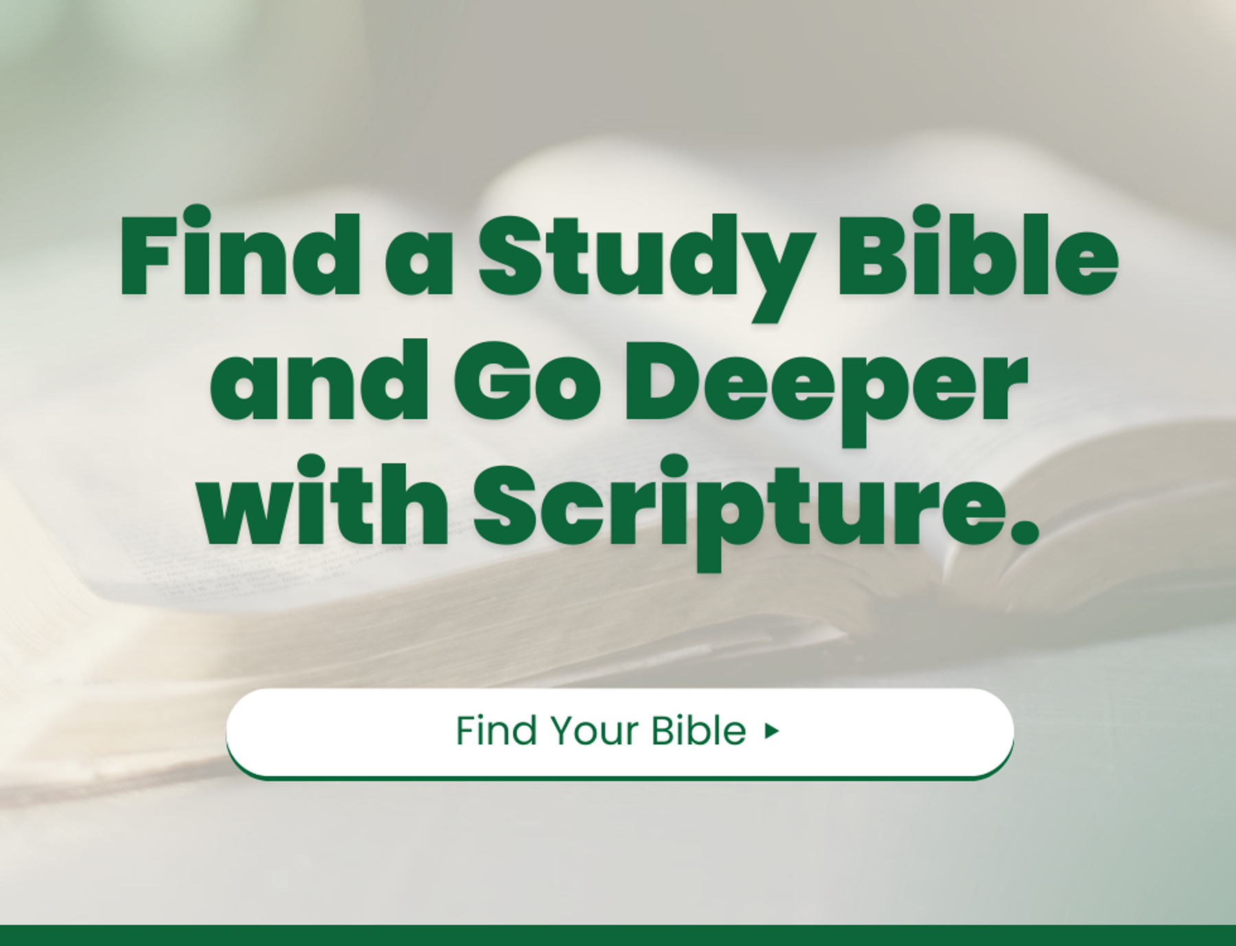 Find Your Study Bible Here