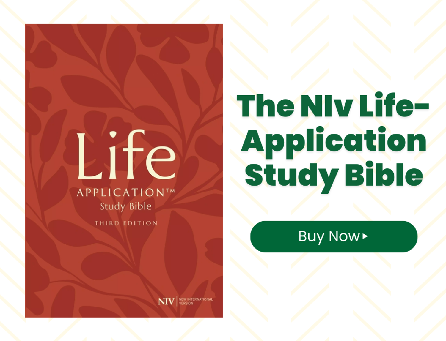 NIV Life Application Study Bible