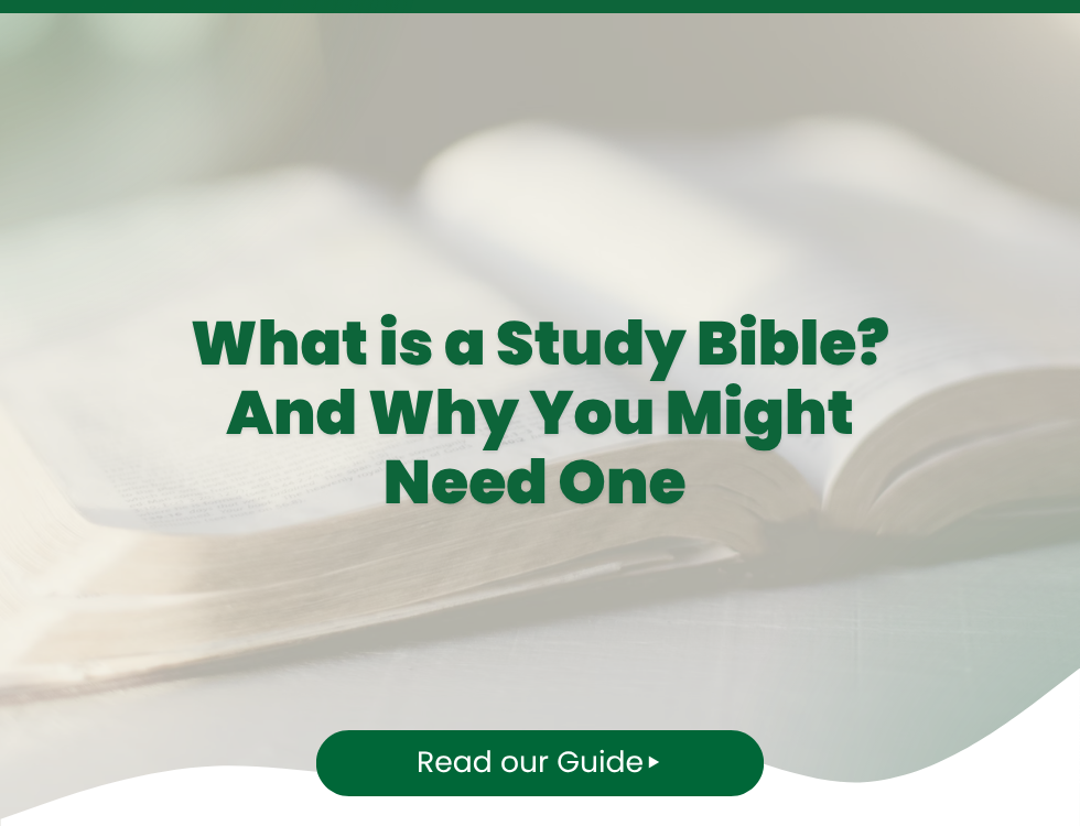 What is a Study Bible? And Why You Might Need One 