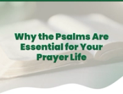Why the Psalms Are Essential for Your Prayer Life