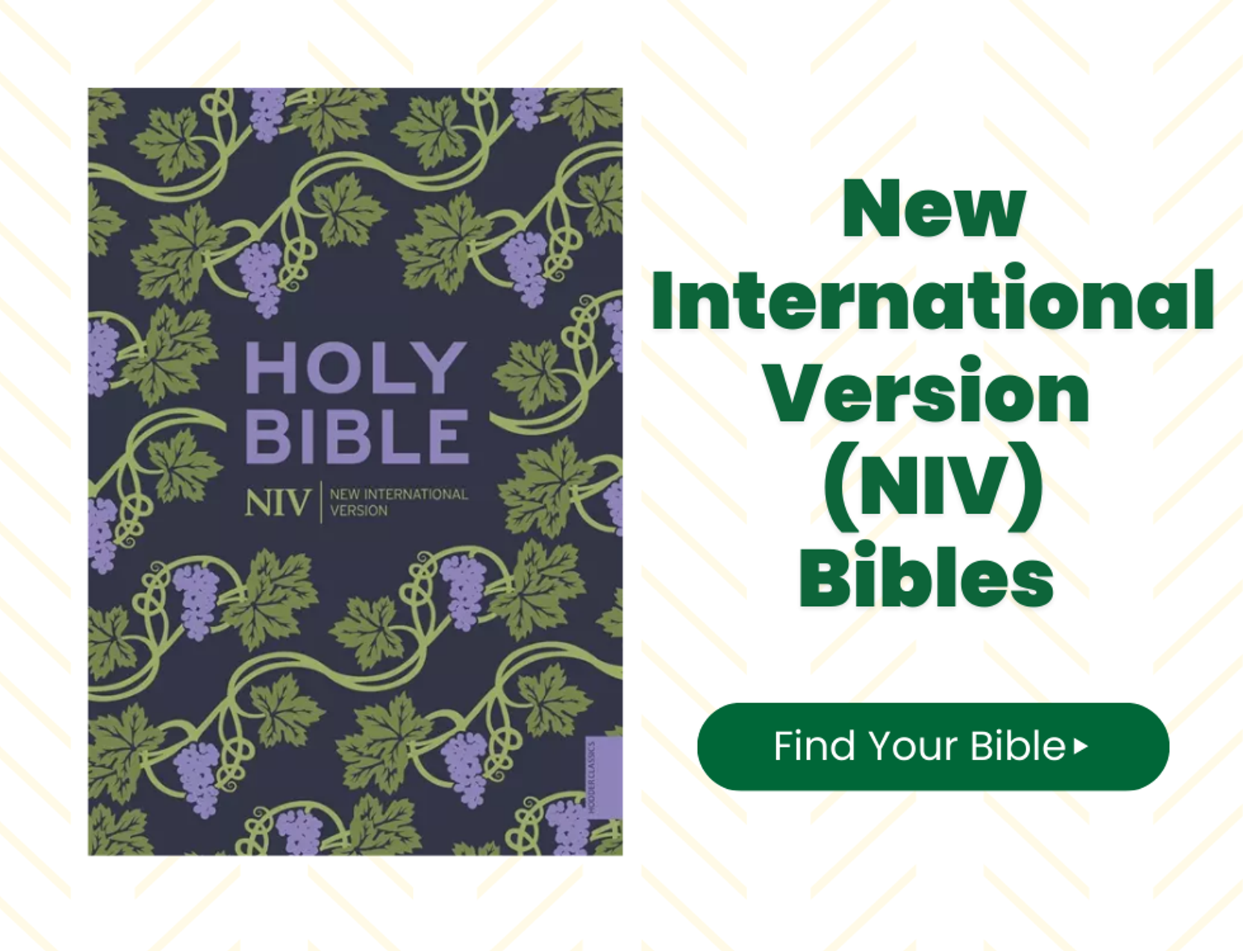 NIV Bibles at Eden