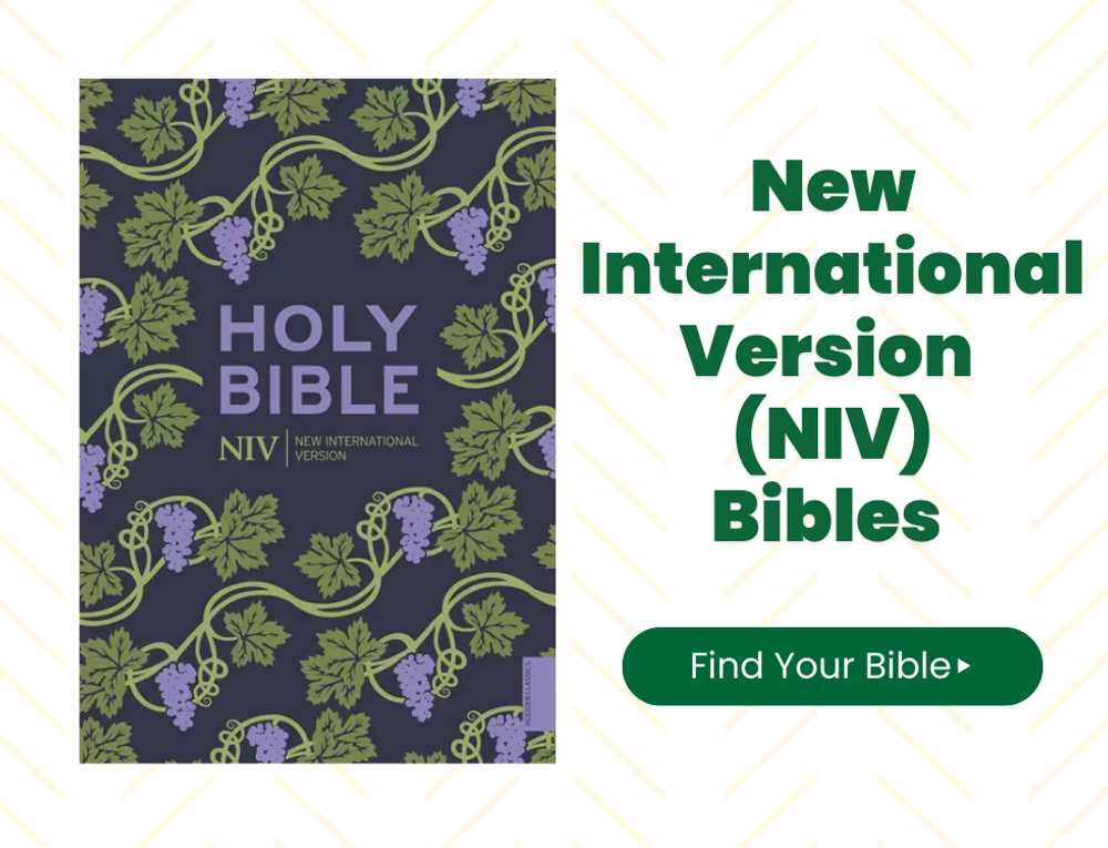 Shop NIV Bibles