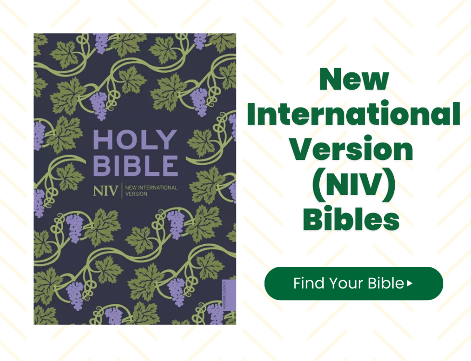 NIV Bibles at Eden